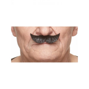 Accessoires de fêtes, moustaches, petites pointes, noire