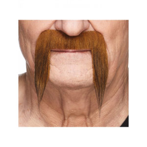 Accessoires de fêtes, moustaches, pirates, roux, fonce