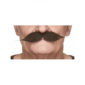 Accessoires de fêtes, moustaches, polonaise, noire