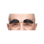 Accessoires de fêtes, sourcil, noir