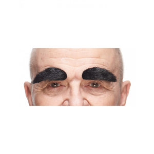 Accessoires de fêtes, sourcil, noir