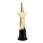 Anniversaire adulte, cinema, trophée