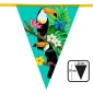 Anniversaire adulte, toucan, fanions