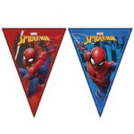 Anniversaire enfant, Spiderman, Fanion