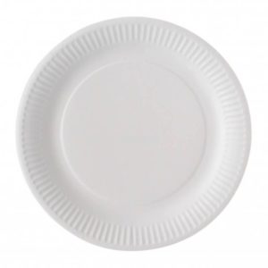 DECORATIONDETABLE-ASSIETTESBLANCHE-BIODEGRADABLE-100