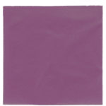 Décoration de table, serviettes, papier, prune