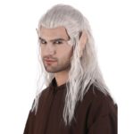 Accessoires de fêtes, perruques, le sorceleur