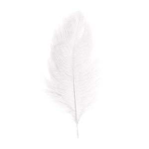 Décoration de table, plumes d'autruche, blanche