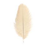 Décoration de table, plumes d'autruche, ivoire