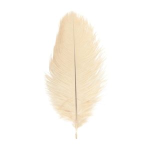Décoration de table, plumes d'autruche, ivoire