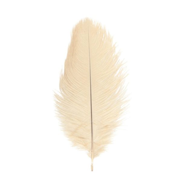 Décoration de table, plumes d'autruche, ivoire