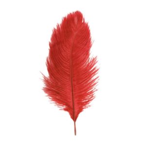 Décoration de table, plumes d'autruche, rouge