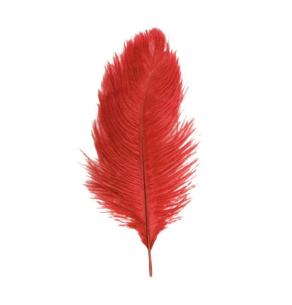Décoration de table, plumes d'autruche, rouge