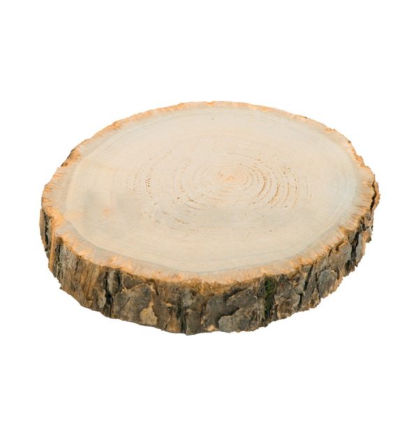 Décoration de table, set de table, rondin, écorce, 30 cm