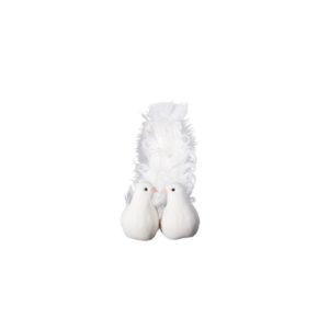 OCCASIONSSPECIALES, MARIAGE, COLOMBE
