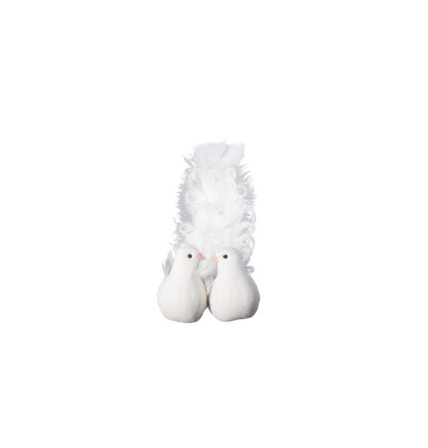 OCCASIONSSPECIALES, MARIAGE, COLOMBE