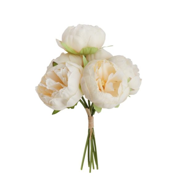 Occasions spéciales, mariage, décoration florale, pivoine blanche