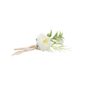Occasions spéciales, mariage, décoration florale, pivoine, blanche