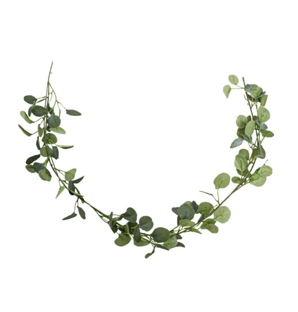 Occasions spéciales, mariage, guirlande, eucalyptus