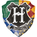 Anniversaire enfant, Harry Potter, ballons