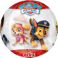 Anniversaire enfant, pat patrouille, ballons, orbz