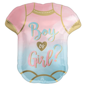 Occasions spéciales, baby shower, reveal, boy or girl