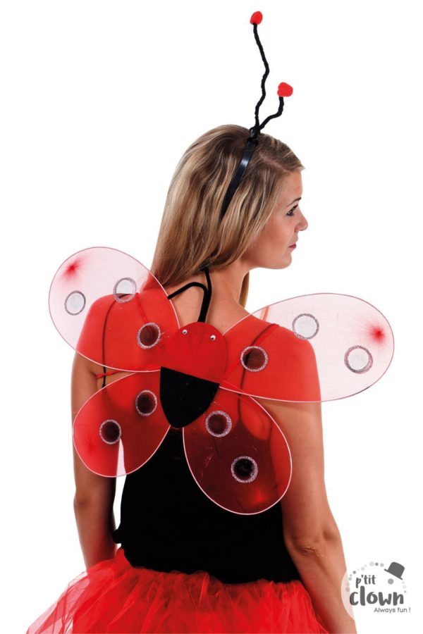ACCESSOIRES DE FETE-AILES-AILES COCCINELLE-ACCESOIRES ANIMAUX-SET COCCINELLE