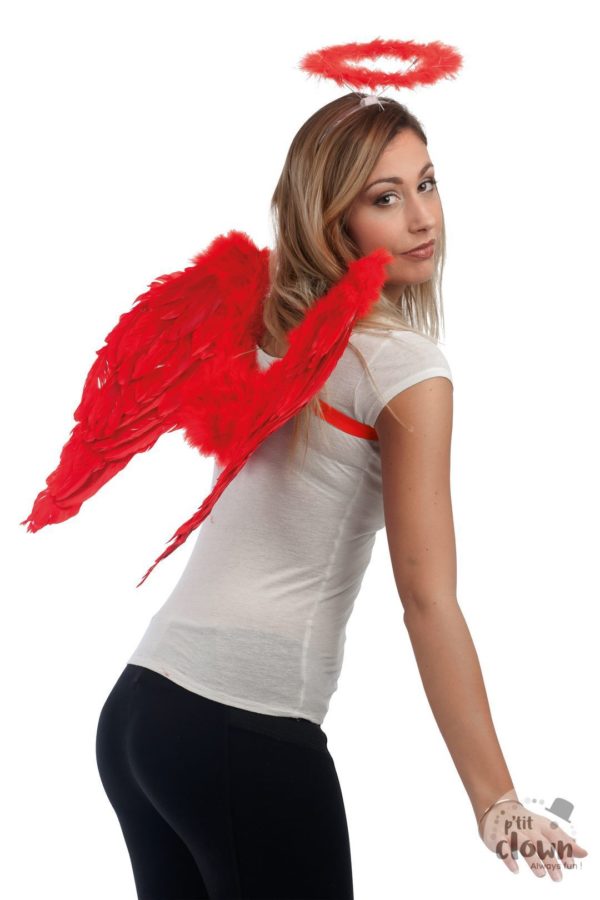 ACCESSOIRES DE FETE-AILES-AILES D'ANGE-AILES EN PLUMES-AILES D'ANGES ROUGES