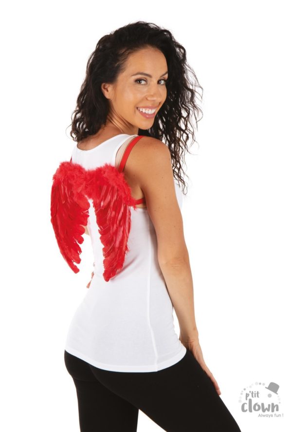 ACCESSOIRES DE FETE-AILES D'ANGE-AILES D'AMGE EN PLUMES ROUGES