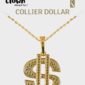 ACCESSOIRES-DE-FETE-BIJOU-COLLIER-DOLLAR