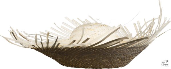 ACCESSOIRES DE FETE-CHAPEAUX-CHAPEAU DE PAILLE-CHAPEAU PAILLE-CHAPEAU HAWAI