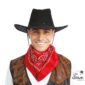 ACCESSOIRES DE FETE-CHEAPEAU COWBOY-CHAPEAUX-COWBOY-CHAPEAU COWBOY NOIR