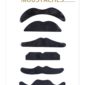 ACCESSOIRES DE FETE-MOUSTACHES-MOUSTACHE NOIRE