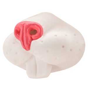 Nez d'animaux – Image 1