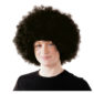 ACCESSOIRES DE FETE-PERRUQUES-PERRUQUE CHICCO-PERRUQUE AFRO-PERRUQUE ANNEES 80-PERRUQUE CHICCO