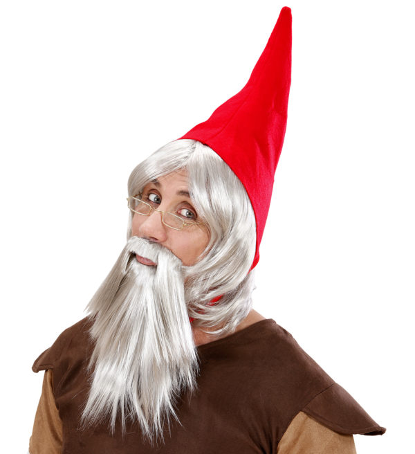 ACCESSOIRES DE FETE-PERRUQUES-PERRUQUE GNOME-PERRUQUE NAIN DE JARDIN