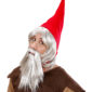 ACCESSOIRES DE FETE-PERRUQUES-PERRUQUE GNOME-PERRUQUE NAIN DE JARDIN