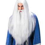 ACCESSOIRES DE FETE-PERRUQUES-PERRUQUE MAGICIEN