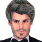 ACCESSOIRES DE FETE-PERRUQUES-PERRUQUE RICK GRISE