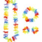 ACCESSOIRES DE FETE-SET HAWAI-SET HAWAIEN-ACCESSOIRES TROPICAL-ACCESSOIRES HAWAIEN