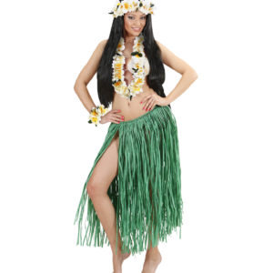 ACCESSOIRES DE FETE-SET HAWAI-SET HAWAIEN-ACCESSOIRES TROPICAL-ACCESSOIRES HAWAIEN DE LUXE