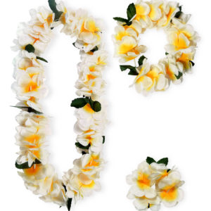 ACCESSOIRES DE FETE-SET HAWAI-SET HAWAIEN-ACCESSOIRES TROPICAL-ACCESSOIRES HAWAIEN DE LUXE