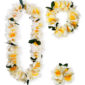 ACCESSOIRES DE FETE-SET HAWAI-SET HAWAIEN-ACCESSOIRES TROPICAL-ACCESSOIRES HAWAIEN DE LUXE