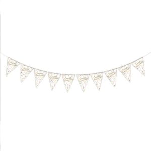 ANNIVERSAIREADULTE-THEMESCOULEURS-MULTICOLORE-GUIRLANDE-FANION