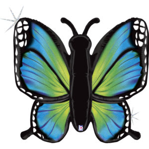 Anniversaire enfant, papillon, ballons alu, papillon bleu