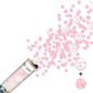 BABYSHOWER-REVELATIONDESEX-CANONFILLE