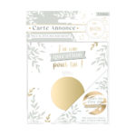 BABYSHOWER-REVELATIONDESEX-CARTEAGRATTER-MARRAINE