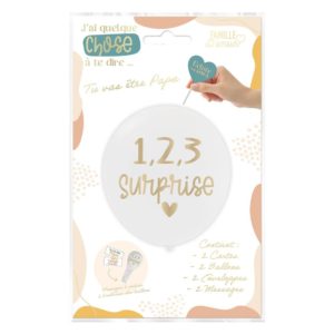 BABYSHOWER-REVELATIONDESEXE-CARTEANNONCESURPRISE-PAPAFAMILLE