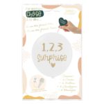BABYSHOWER-REVELATIONDESEXE-CARTEANNONCESURPRISEFREREETSOEUR