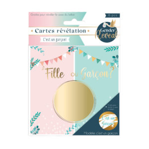 BABYSHOWER-REVELATIONDESEXE-CARTESREVELATRCE-GARCON